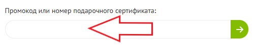 Как использовать купон в Две Морковки Как использовать промокод в Две Морковки